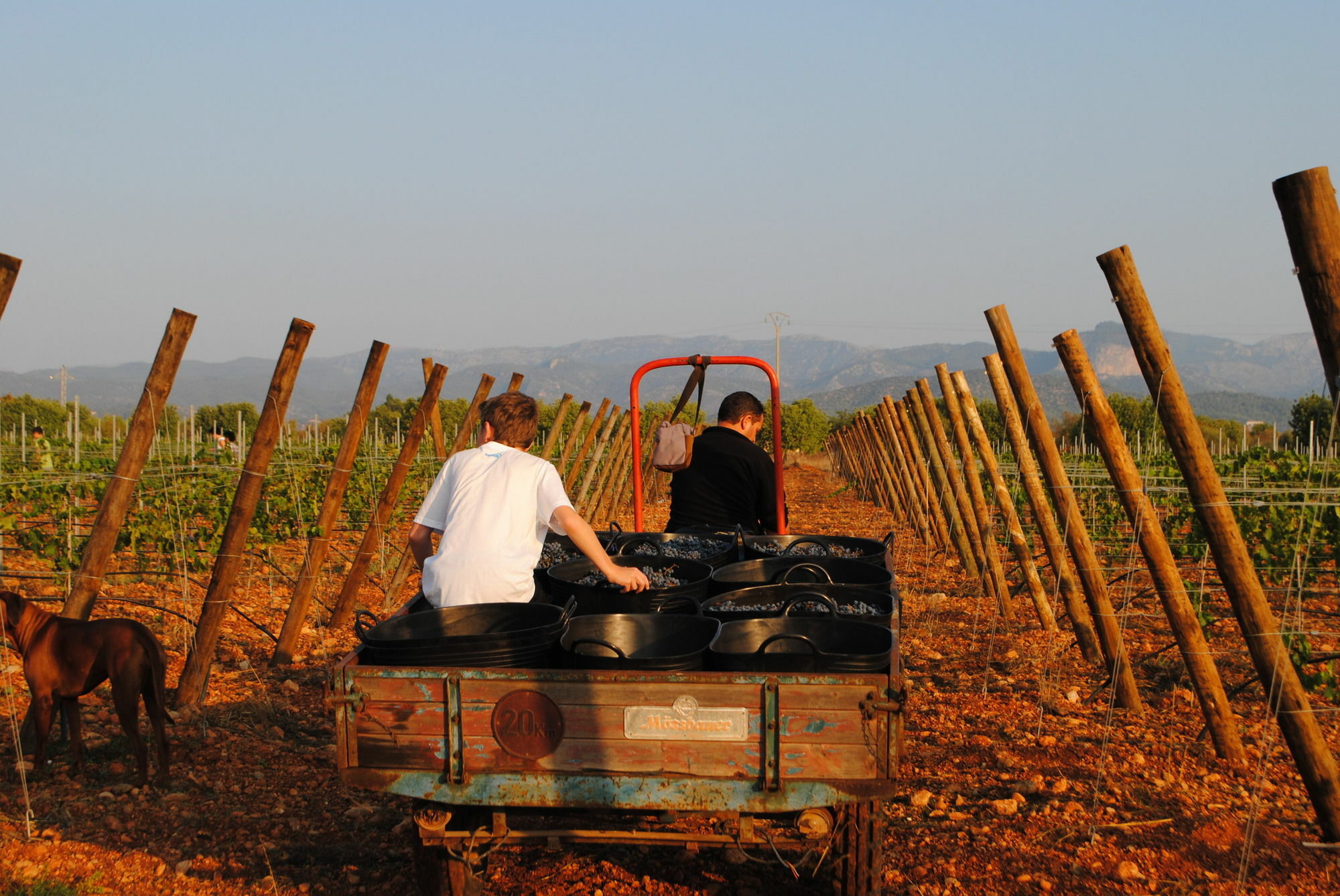Weingut & Landhotel Can Davero 比尼萨勒姆 外观 照片