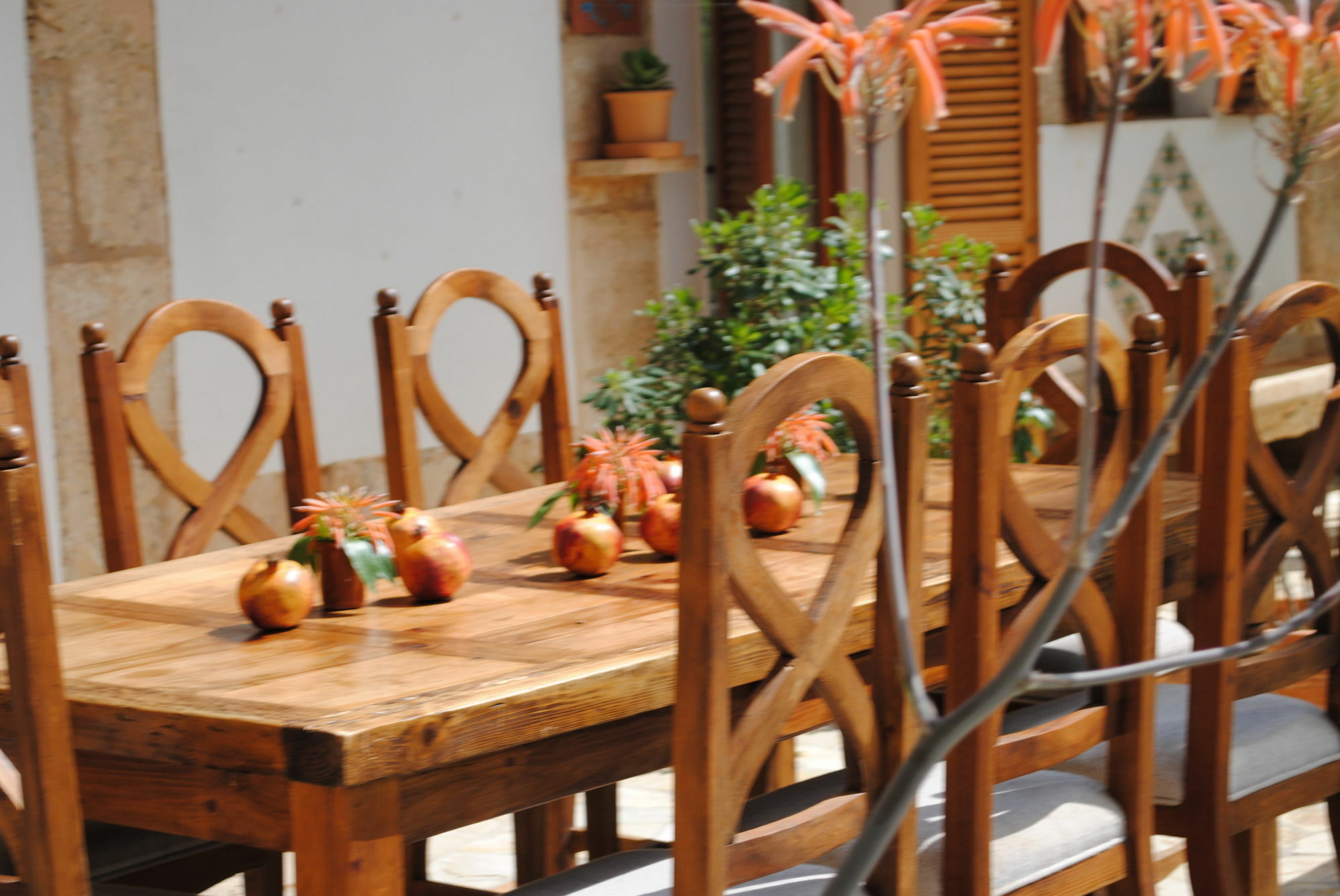 Weingut & Landhotel Can Davero 比尼萨勒姆 外观 照片